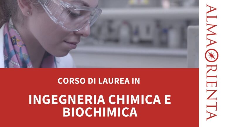Guida al Piano di Studi in Ingegneria Chimica | Actualizado enero 2026