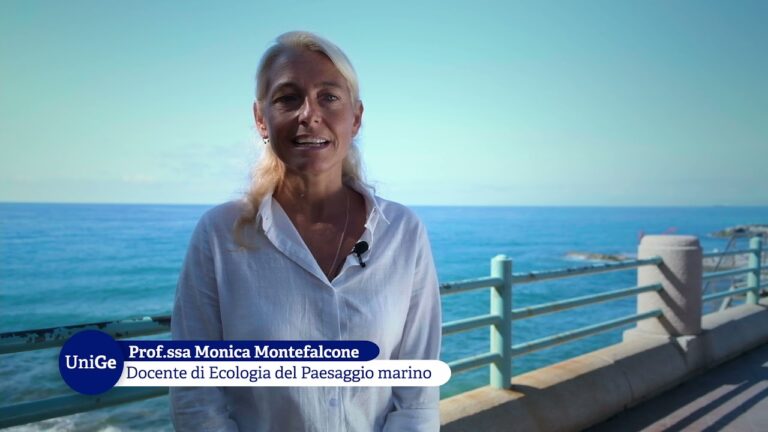 Guida alla Laurea Triennale in Biologia Marina | Actualizado enero 2026